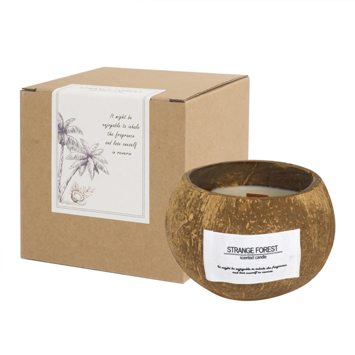 Coconut Shell Candle – Plant Wax & Aromatherapy Fragrance