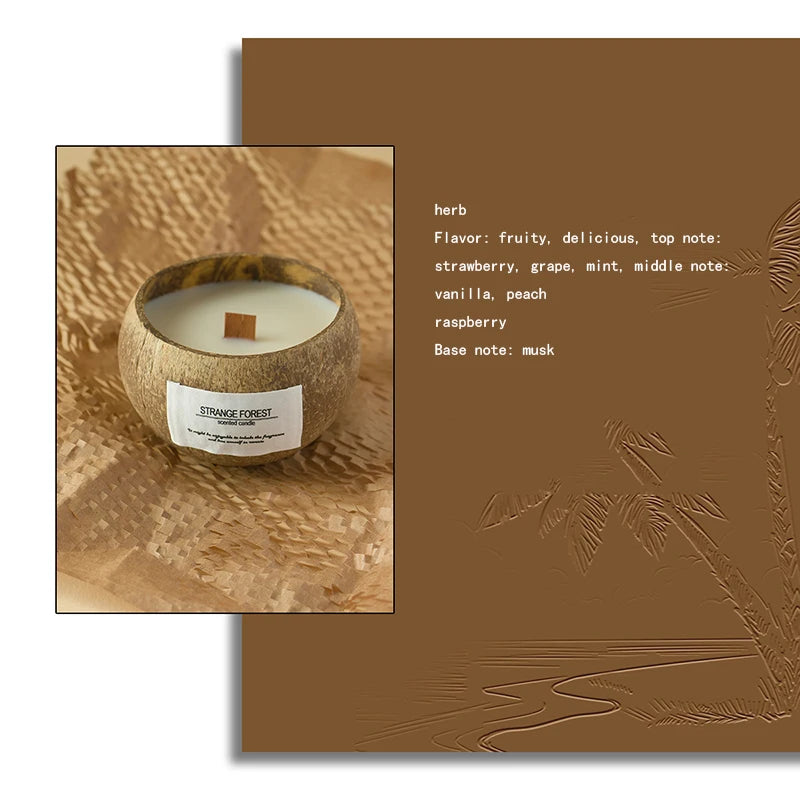 Coconut Shell Candle – Plant Wax & Aromatherapy Fragrance