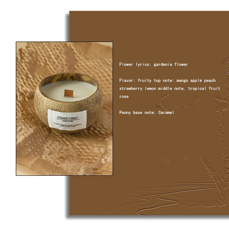 Coconut Shell Candle – Plant Wax & Aromatherapy Fragrance