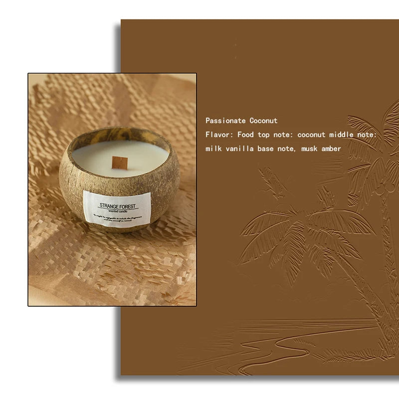 Coconut Shell Candle – Plant Wax & Aromatherapy Fragrance